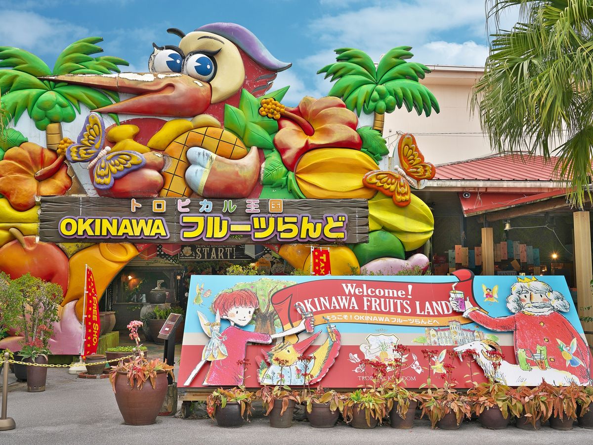 OKINAWAフルーツランド」入場チケット 色とりどりのフルーツを体験