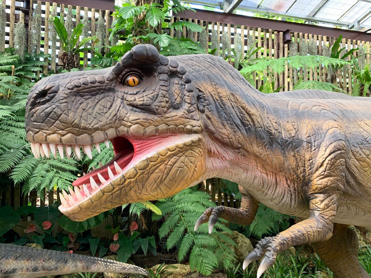 DINO恐竜パーク」入場チケット 恐竜の世界を大冒険！那覇空港