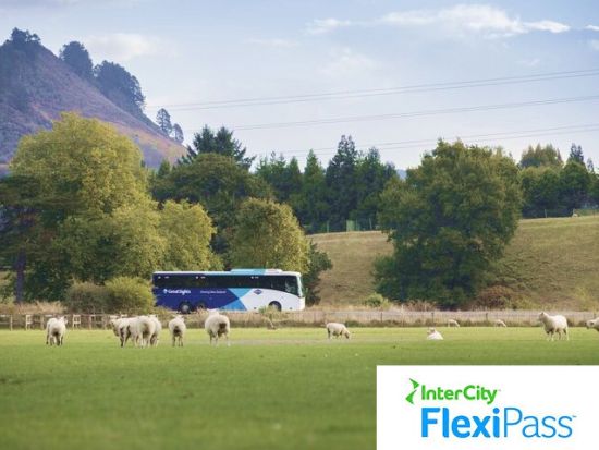ニュージーランド インターシティ・フレキシパス　自由観光の強い味方！長距離バス事前予約サービス＜10～80時間パス＞