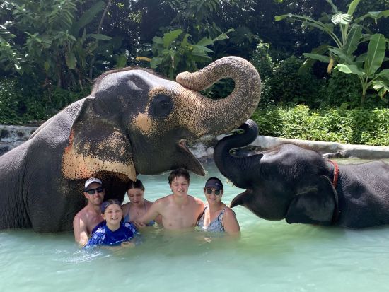 海を見下ろす眺めの良い会場で手軽に象乗り（エレファントトレッキング）体験☆30分・45分・60分から選べます！象に乗らないお散歩プランあり＜ホテル送迎付＞