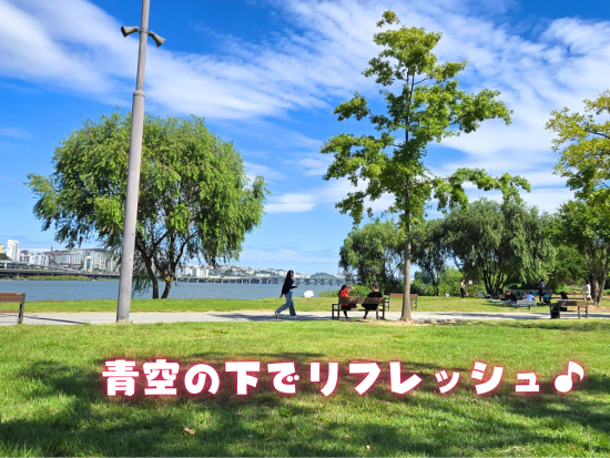子供に人気♪漢江公園ピクニックツアー 道具レンタルと軽食付き！江南でのお買い物タイムあり＜貸切／現地語ドライバー／ソウル市内ホテル往復送迎＞