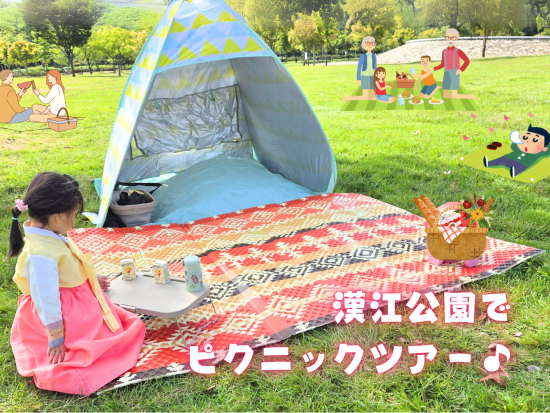 子供に人気♪漢江公園ピクニックツアー 道具レンタルと軽食付き！江南でのお買い物タイムあり＜貸切／現地語ドライバー／ソウル市内ホテル往復送迎＞