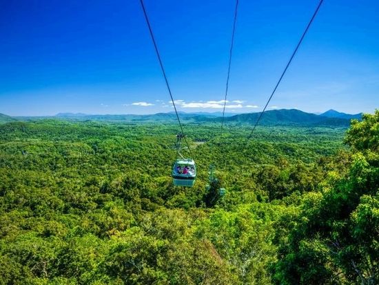 Gondola-Over-Rainforest-Vista