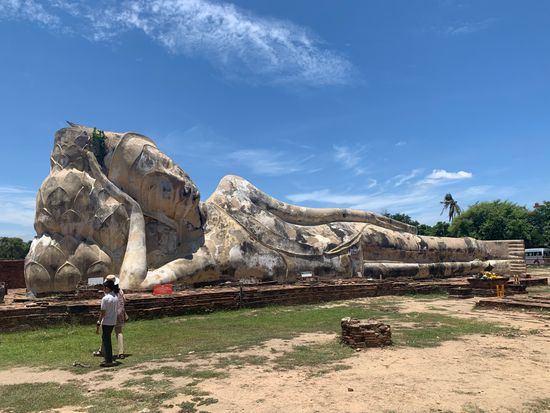 ワットロカヤスター