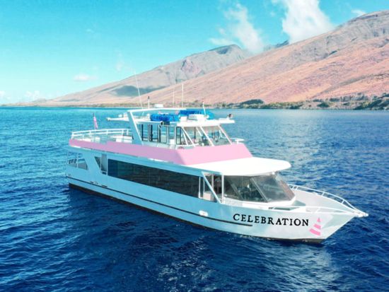 花火鑑賞 ナイトセーリング 　2種類の船から選べる！ロマンチックな夜のクルーズ　ドリンク購入可＜金曜日限定／アラワイボートハーバー発＞