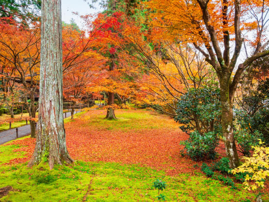 Japan_Kyoto_Sanzenin_pixta_80439102