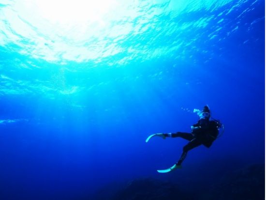 石垣島体験ダイビング 選べる4つのプランで石垣島の海を満喫 透明度抜群の海でダイビングデビュー＜半日or1日／写真データ込み／石垣島＞