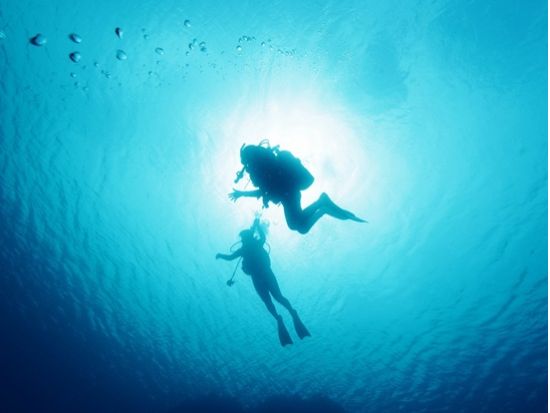 石垣島ファンダイビング 美しいサンゴ礁と熱帯魚に出会う感動のひととき カメラ派ダイバーにおすすめ＜半日or1日／石垣島＞