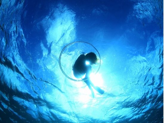 石垣島ファンダイビング 美しいサンゴ礁と熱帯魚に出会う感動のひととき カメラ派ダイバーにおすすめ＜半日or1日／石垣島＞