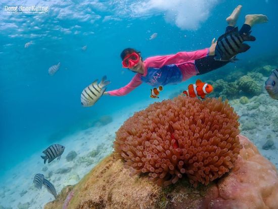 パタヤ発！ニモ島シュノーケリングツアー　ドローン撮影＋水中フォト＜昼食／英語ガイド＞