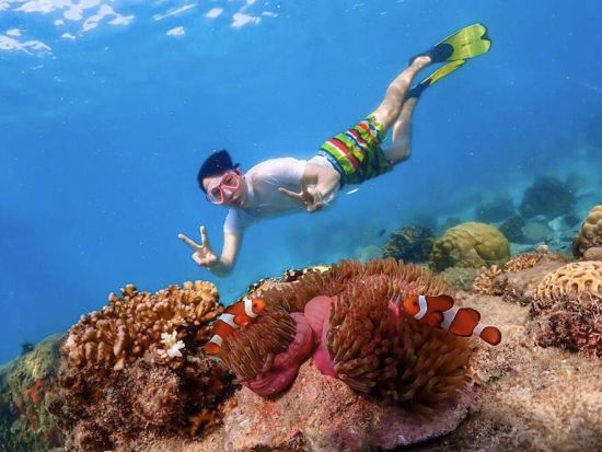 パタヤ発！ニモ島シュノーケリングツアー　ドローン撮影＋水中フォト＜昼食／英語ガイド＞