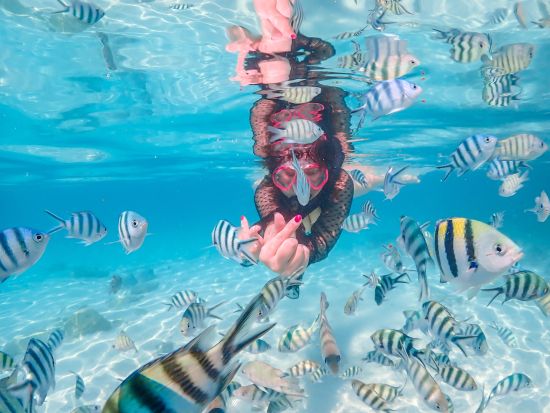 バンコク発！ニモ島シュノーケリングツアー　ドローン撮影＋水中フォト＜昼食／英語ガイド＞