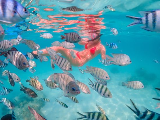 バンコク発！ニモ島シュノーケリングツアー　ドローン撮影＋水中フォト＜昼食／英語ガイド＞