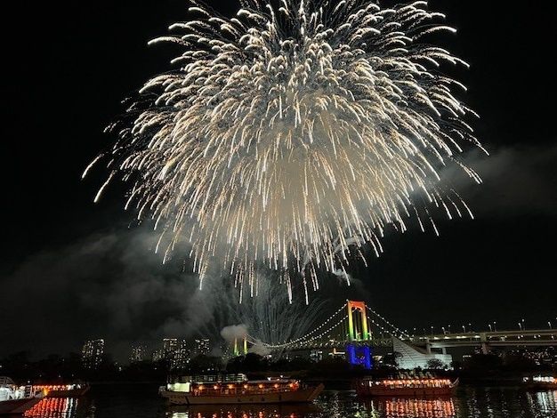 5月24・25日】お台場花火 乗合屋形船 東京湾を彩る花火と夜景を