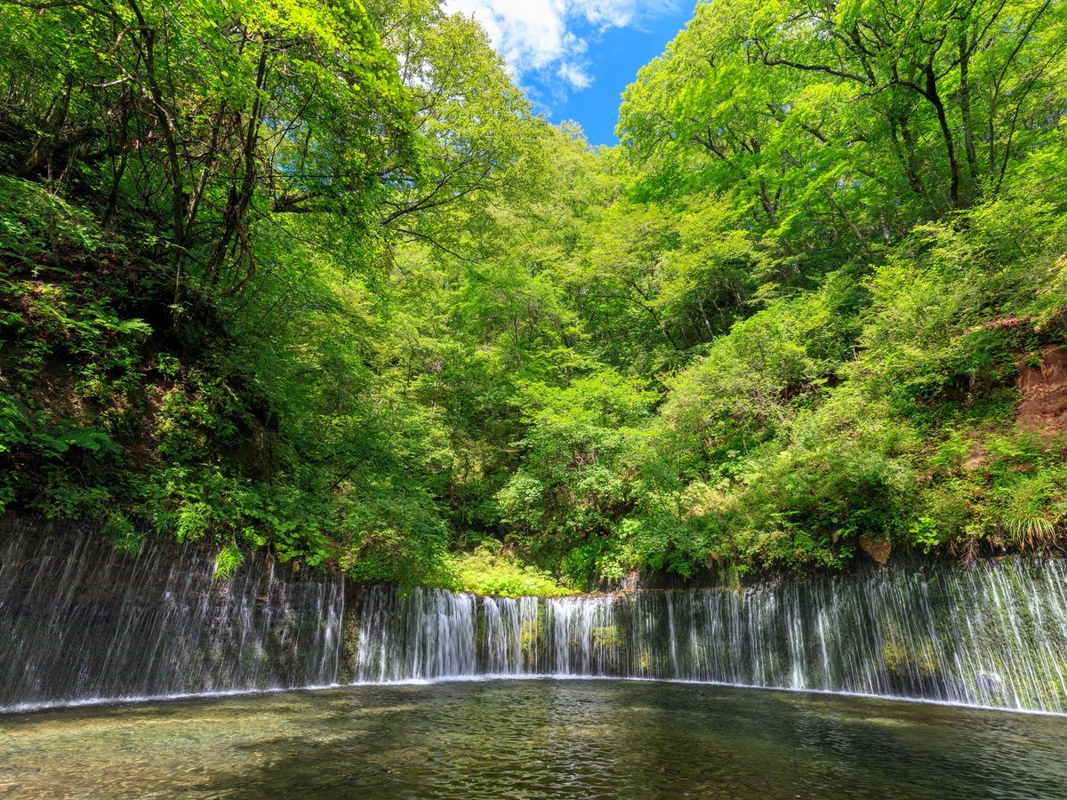 Karuizawa and Kawagoe Day Trip with Hikawa Shrine Visit from Tokyo