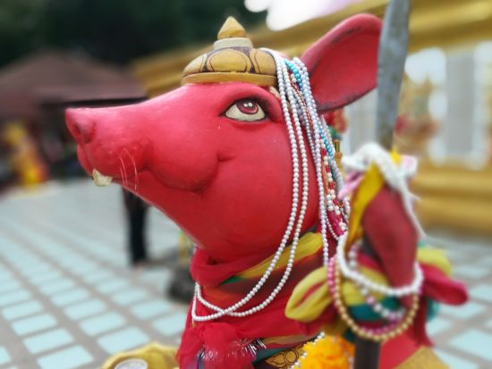 スワンナプーム空港から直行！ピンクの巨大ガネーシャ参拝ツアー＜日本語ガイド／午前半日／ランチ付きプランあり＞