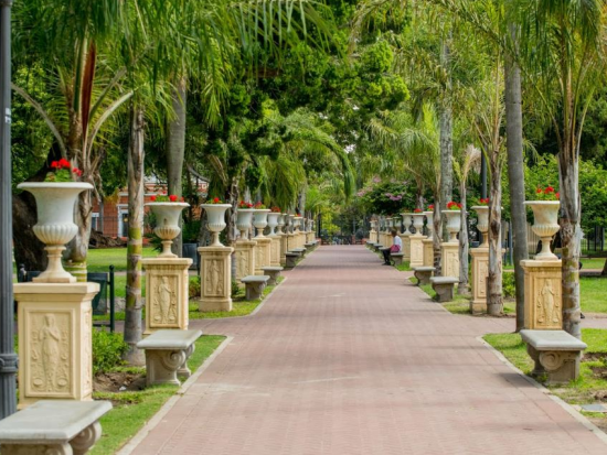 ブエノスアイレス市内　半日観光ツアー ＜ランチ付きプランあり／英語ガイド＞