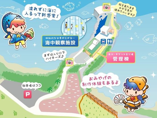 宮古島海中公園 入園券 ～カラフルな魚たちと気軽に海中散歩～ ＜宮古島＞