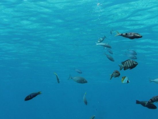 JUZSI_f4c395c4-33ad-456b-a8d9-6c