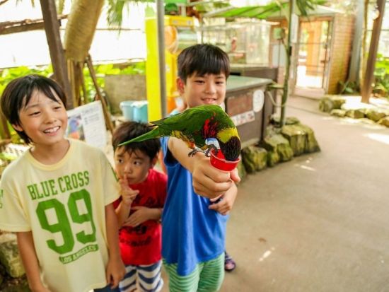 OKINAWAフルーツらんど入園チケット 家族やみんなで楽しめる謎解き冒険！10%オフまたはオリジナルスイーツ付のチケットから選択＜日時指定なし／名護市＞