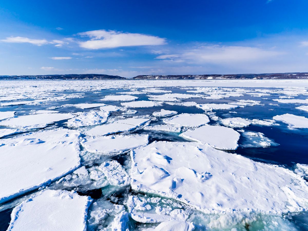 流氷クルーズ（流氷砕氷船） | 富良野・美瑛・旭川 旅行の観光