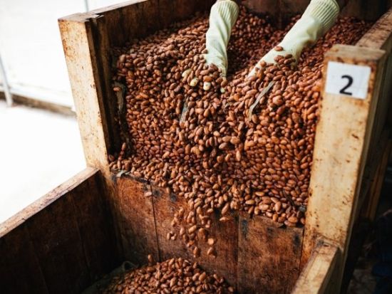 ビノンカカオパーク「BINON CACAO PARK」訪問ツアー　カカオ農園＆チョコレート工場見学＜日本語ガイド選択可／バーベキュー昼食＞