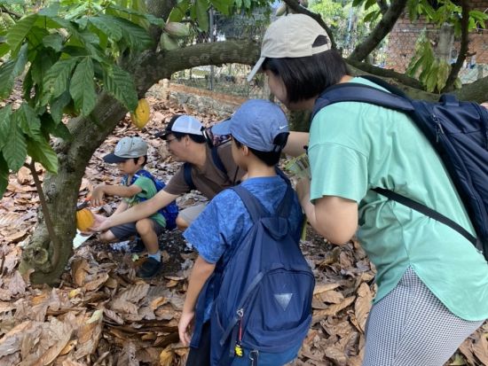 ビノンカカオパーク「BINON CACAO PARK」訪問ツアー　カカオ農園＆チョコレート工場見学＜日本語ガイド選択可／バーベキュー昼食＞