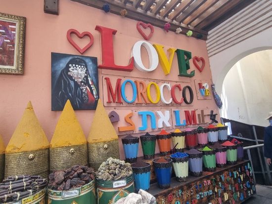 マラケシュ日帰り観光ツアー　ラクダ乗り体験付き＜混載または貸切／英語ガイド／カサブランカ発＞