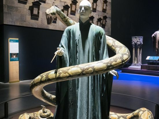 ワーナー ブラザース スタジオツアー東京 ‐ メイキング・オブ・ハリー・ポッターチケット＆Tokyo Subway 24時間券付プラン＜日付指定＞