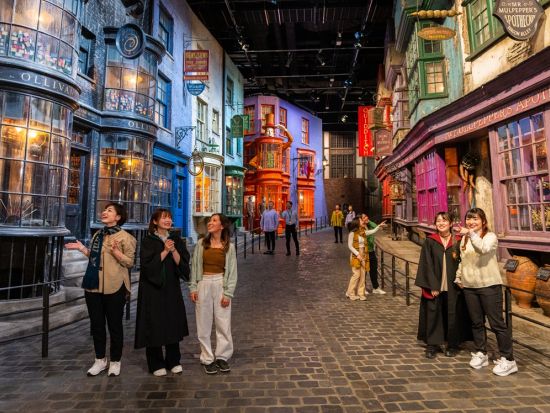 ワーナー ブラザース スタジオツアー東京 ‐ メイキング・オブ・ハリー・ポッターチケット＆Tokyo Subway 24時間券付プラン＜日付指定＞