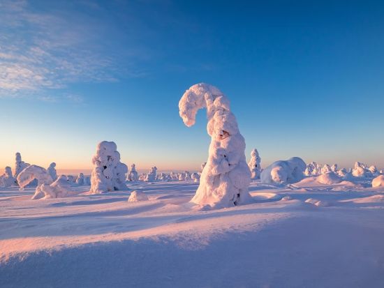 リーシトゥントゥリ国立公園ハイキングツアー　雪景色とラップランドの絶景を満喫！＜英語／送迎選択可／軽食付き／ロヴァニエミ発＞
