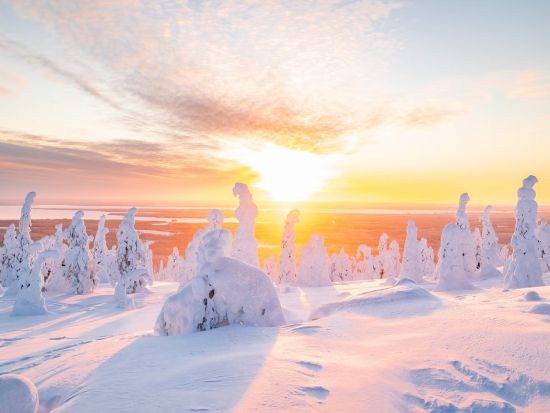 リーシトゥントゥリ国立公園ハイキングツアー　雪景色とラップランドの絶景を満喫！＜英語／送迎選択可／軽食付き／ロヴァニエミ発＞