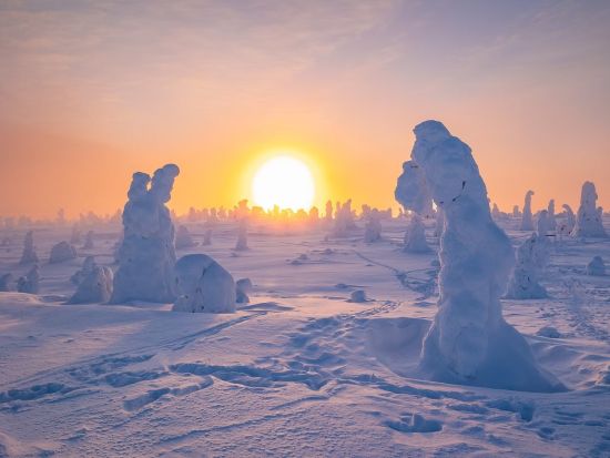 リーシトゥントゥリ国立公園ハイキングツアー　雪景色とラップランドの絶景を満喫！＜英語／送迎選択可／軽食付き／ロヴァニエミ発＞