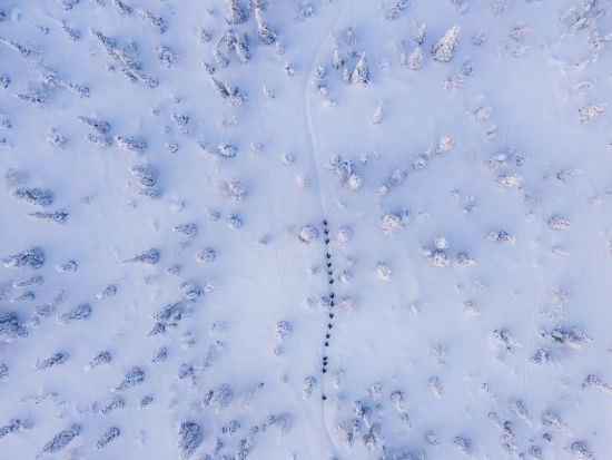 リーシトゥントゥリ国立公園ハイキングツアー　雪景色とラップランドの絶景を満喫！＜英語／送迎選択可／軽食付き／ロヴァニエミ発＞