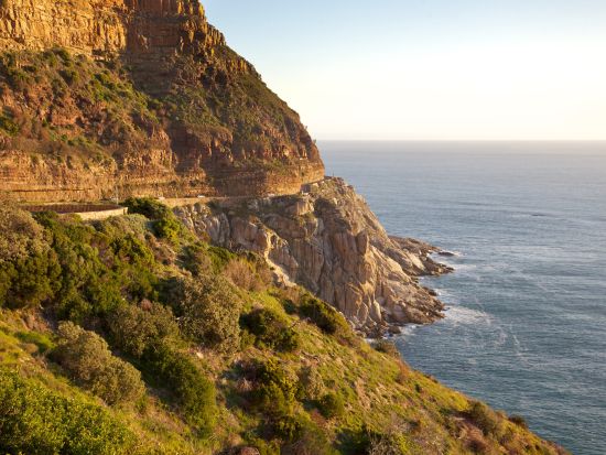 ケープ半島1日観光ツアー　喜望峰自然保護区やボルダーズ・ビーチなどを訪問＜混載／英語ガイド／ケープタウン発＞