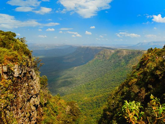 13泊14日 南アフリカ周遊ツアー クルーガーなど2つの国立公園観光＜ケープタウン発ヨハネスブルク着／英語＞