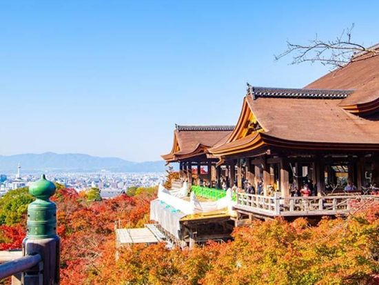 【英語ツアー】金閣寺＋嵐山＋三十三間堂＋清水寺 日帰りバスツアー＜選べる昼食付／京都発／英語ガイド＞