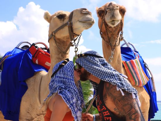 リビエラ・マヤで過ごす憧れの1日　マロマビーチキャメルライドツアー！ビーチクラブにてたっぷり自由時間あり＜英語ガイド／カンクン発＞