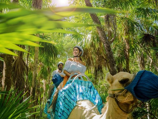 リビエラ・マヤで過ごす憧れの1日　マロマビーチキャメルライドツアー！ビーチクラブにてたっぷり自由時間あり＜英語ガイド／カンクン発＞