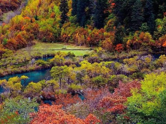 【日本発・中国四川巡遊4泊5日ツアー】成都パンダ基地と秘境九寨溝と黄龍を巡る宿泊ツアー*＜往復高速鉄道付／専用車＋専属日本語ガイド／食事付 / 混載無し＞