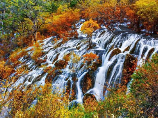 【日本発・中国四川巡遊4泊5日ツアー】成都パンダ基地と秘境九寨溝と黄龍を巡る宿泊ツアー*＜往復高速鉄道付／専用車＋専属日本語ガイド／食事付 / 混載無し＞