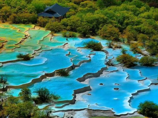 【日本発・中国四川巡遊4泊5日ツアー】成都パンダ基地と秘境九寨溝と黄龍を巡る宿泊ツアー*＜往復高速鉄道付／専用車＋専属日本語ガイド／食事付 / 混載無し＞