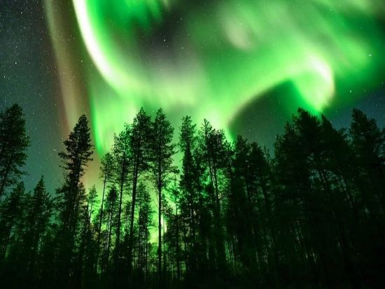 少人数で楽しむ！オーロラハンティングツアー＜送迎選択可／ロヴァニエミ発／英語＞