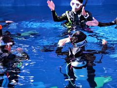 9IMG_6091-1