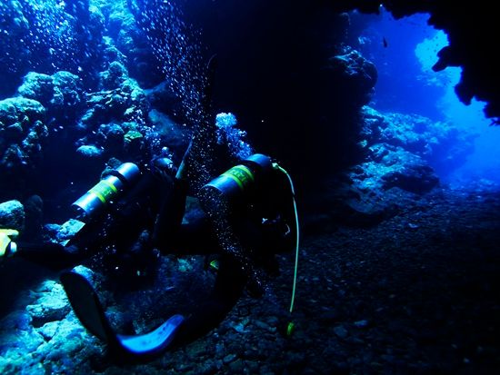 ライセンス取得後