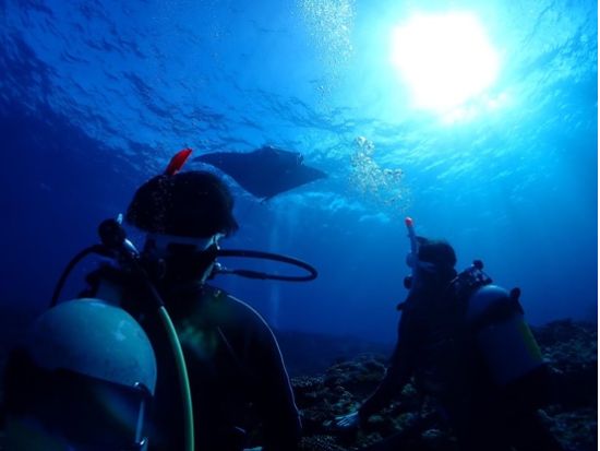 PADIオープンウォーターダイバー講習 石垣島内ではほかにない自社プール講習 世界基準のライセンス取得でダイビングスキルを上げる＜2日間／石垣島＞