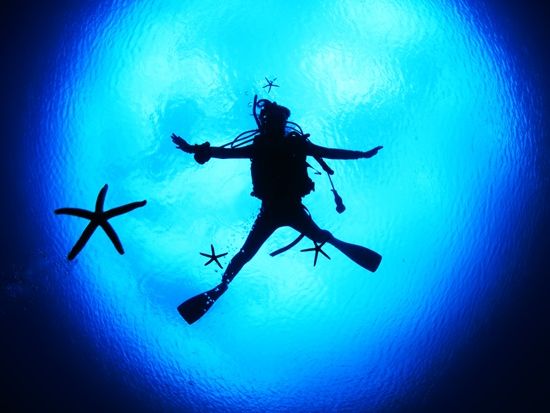 ダイビングライセンス取得 | 石垣島・八重山 旅行の観光・オプショナル