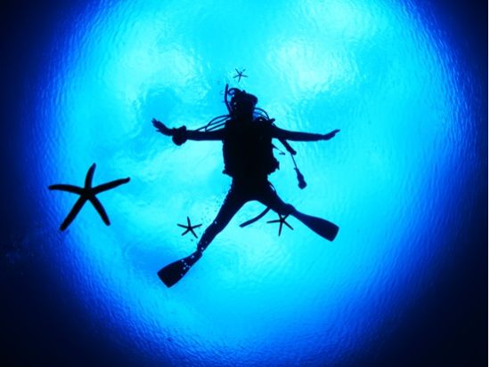 PADIオープンウォーターダイバー講習 石垣島内ではほかにない自社プール講習 世界基準のライセンス取得でダイビングスキルを上げる＜2日間／石垣島＞