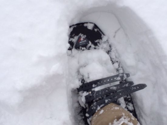 【青森市内1泊宿泊プラン＆八甲田樹氷スノーシューツアー】人気の青森アクティビティプランと宿泊プランが付いた1泊2日満喫プラン＜12月～3月/青森市＞　