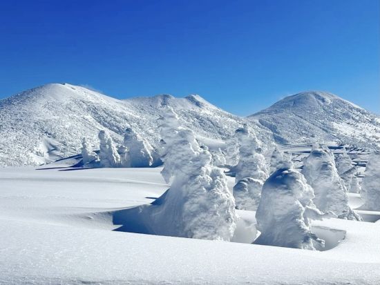 【青森市内1泊宿泊プラン＆八甲田樹氷スノーシューツアー】人気の青森アクティビティプランと宿泊プランが付いた1泊2日満喫プラン＜12月～3月/青森市＞　